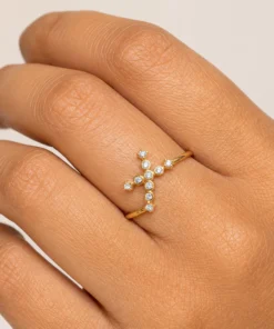 Anillo con Circones